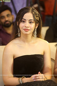 Subham Movie Success Celebrations