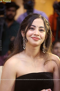 Subham Movie Success Celebrations