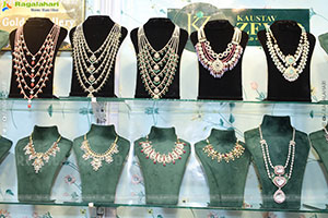 Hi Life Exhibition Grand Launch Event, Hyderabad 