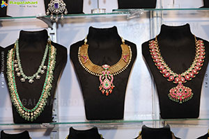 Hi Life Exhibition Grand Launch Event, Hyderabad 
