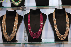 Hi Life Exhibition Grand Launch Event, Hyderabad 