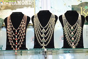 Hi Life Exhibition Grand Launch Event, Hyderabad 