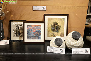Trunk Show Event: Orange Tree Lighting and Our Better Planet