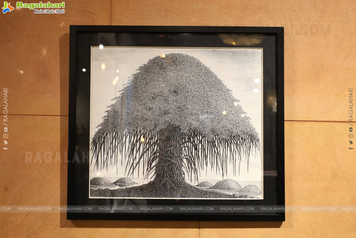 Trunk Show: Orange Tree Lighting and Our Better Planet, Hyderabad