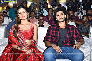 Srinivasa Mangapuram Movie Srinu & Manga Introducing Event