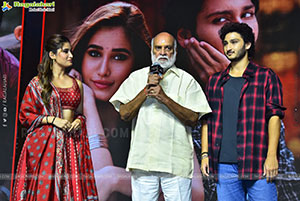 Srinivasa Mangapuram Movie Srinu & Manga Introducing Event