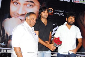 Aarya - 2 Audio Success Meet