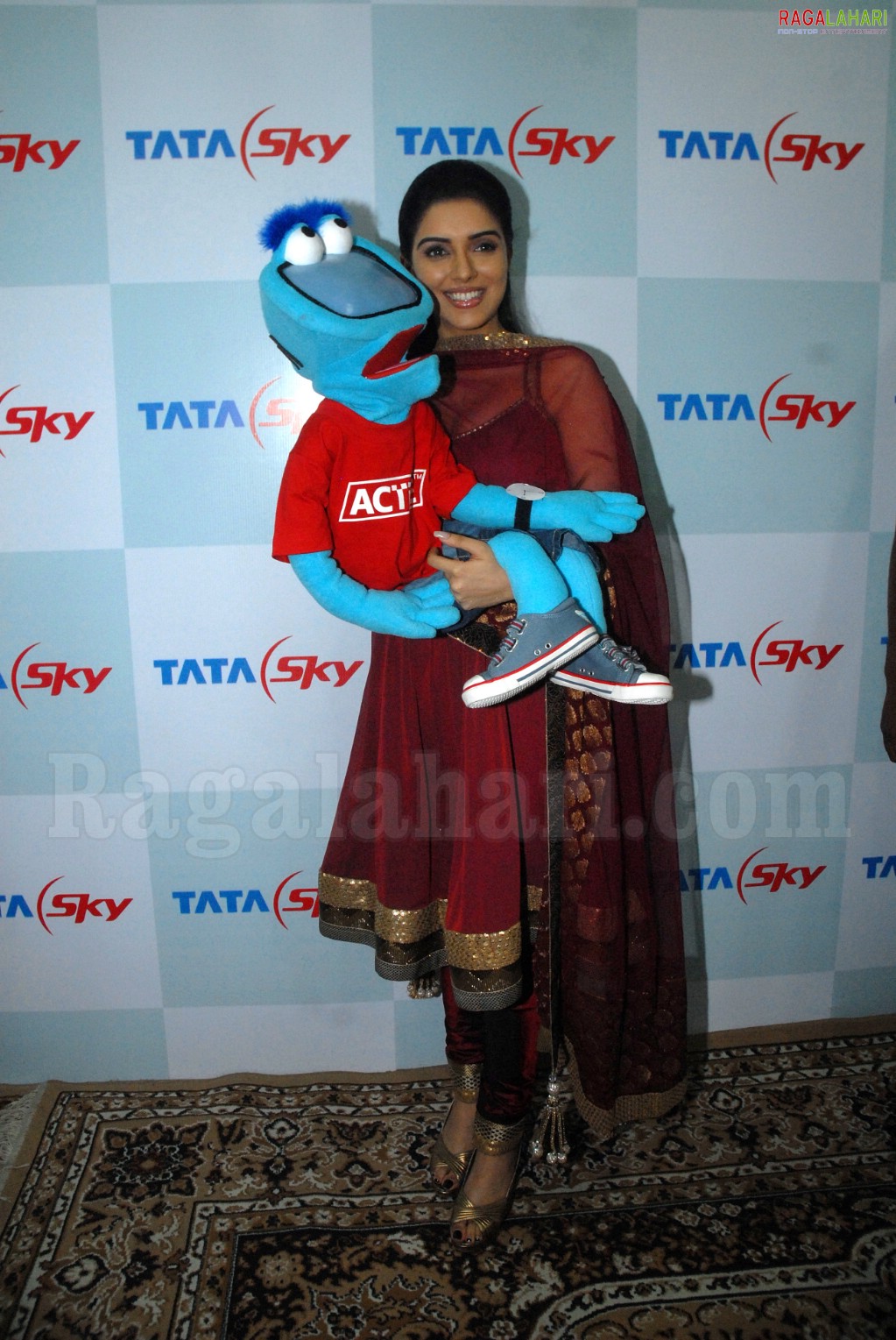 Asin at Tata Sky Promotional Event in Hyderabad