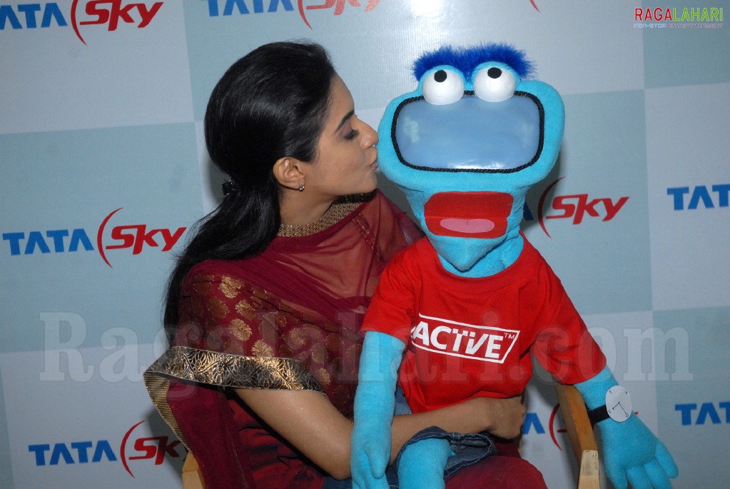 Asin at Tata Sky Promotional Event in Hyderabad