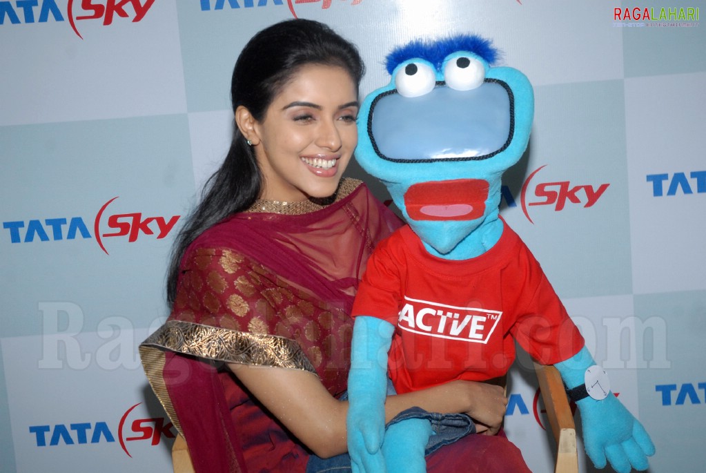 Asin at Tata Sky Promotional Event in Hyderabad