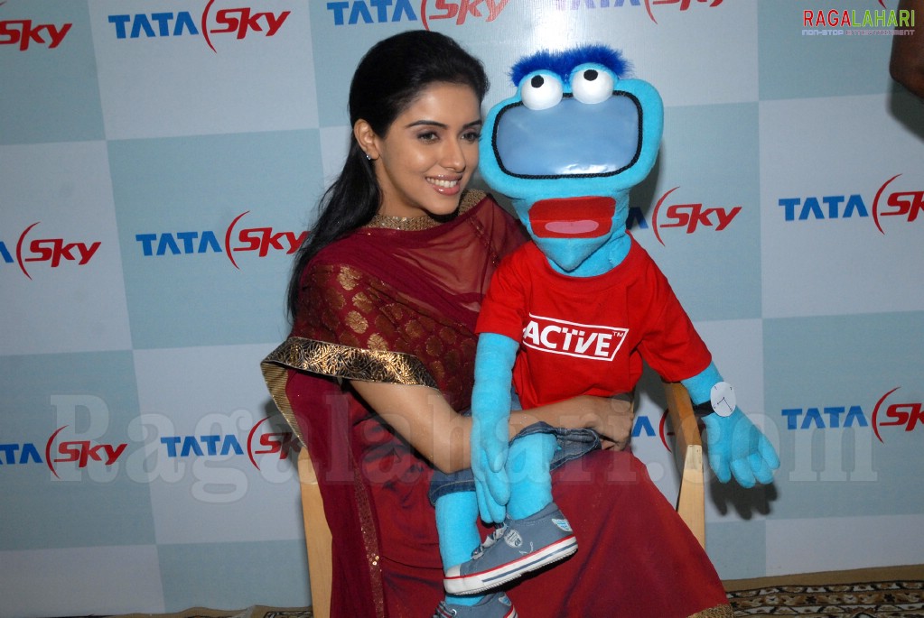 Asin at Tata Sky Promotional Event in Hyderabad