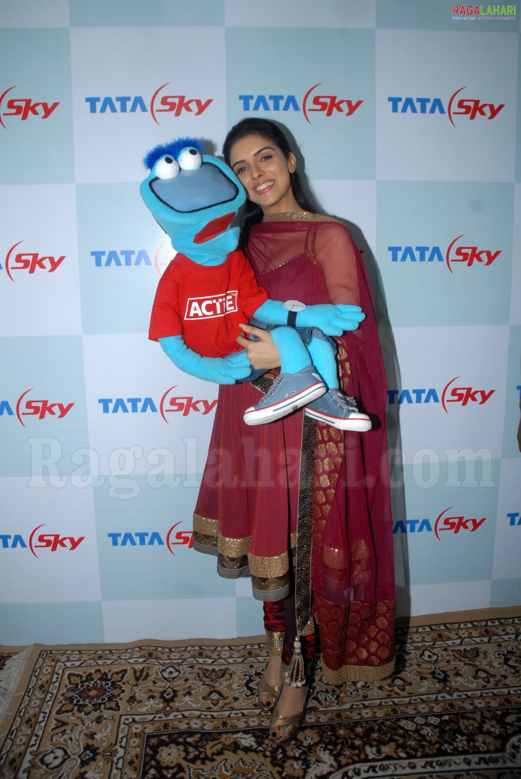 Asin at Tata Sky Promotional Event in Hyderabad