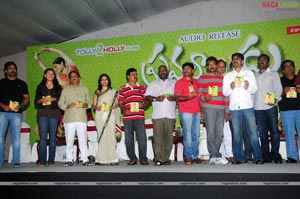 Pravarakhyudu Audio Release