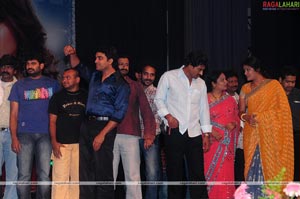 Saleem Audio Release