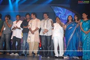 MAA Star Night Photo Gallery