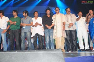 MAA Star Night Photo Gallery