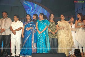 MAA Star Night Photo Gallery