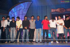 MAA Star Night Photo Gallery