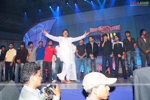 MAA Star Night Photo Gallery