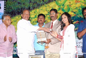 Tholi Paata Audio Release