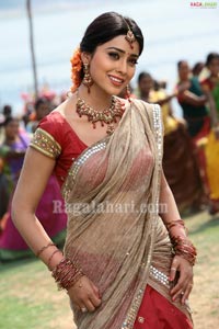 Shriya Photo Gallery from Mahamuduru