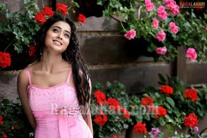 Shriya Photo Gallery from Mahamuduru