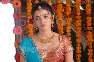 Suhasi Photo Gallery