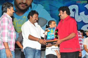 Brindaavanam Triple Platinum Disc