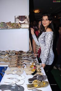 D'sire Exhibition Launch at Taj Krishna by Madhurima