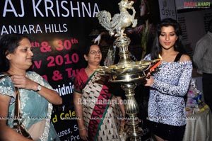 D'sire Exhibition Launch at Taj Krishna by Madhurima