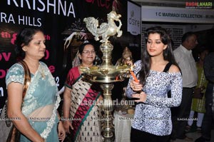 D'sire Exhibition Launch at Taj Krishna by Madhurima