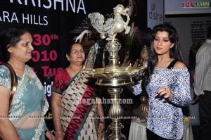 D'sire Exhibition Launch at Taj Krishna by Madhurima