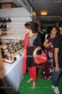 D'sire Exhibition Launch at Taj Krishna by Madhurima