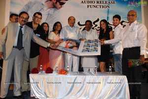 Graduate Audio Release