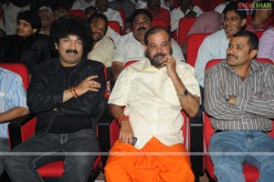 Nagavalli Audio Release