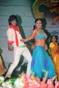 Nagavalli Audio Release