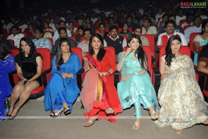 Nagavalli Audio Release