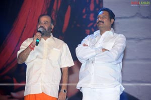 Nagavalli Audio Release