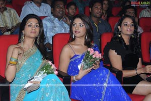 Nagavalli Audio Release