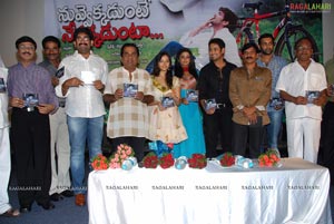 Nuvekkadunte Nenakkadunta Audio Release