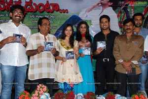 Nuvekkadunte Nenakkadunta Audio Release