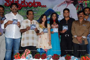 Nuvekkadunte Nenakkadunta Audio Release