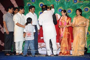 SV Krishna Reddy Daughter Vijayalakshmi-Rajasekhar Reddy Wedding Reception