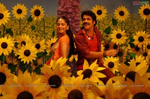 Nagarjuna, Anushka, Priyamani