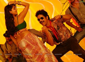 Nagarjuna, Anushka, Priyamani