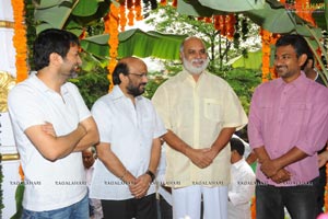 Allu Arjun-Ileana Film Muhurat