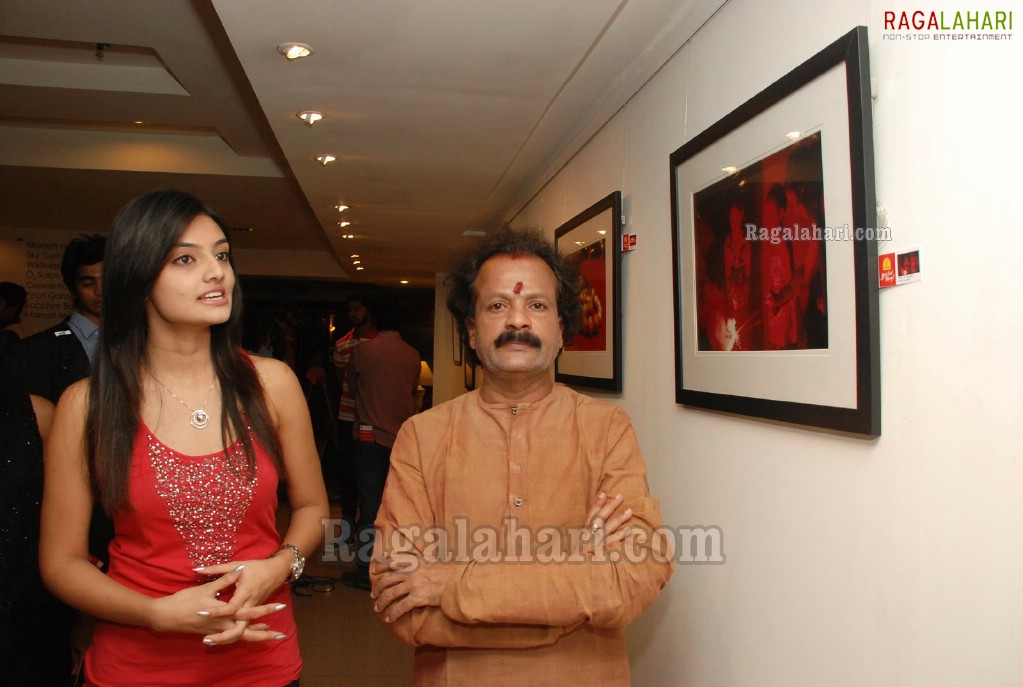 Muse Art Gallery at Hyderabad Marriott Hotel