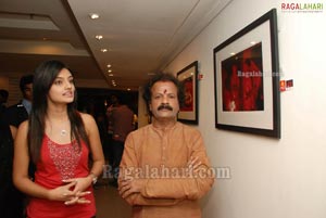Muse Art Gallery at Marroit Hotel, Hyd