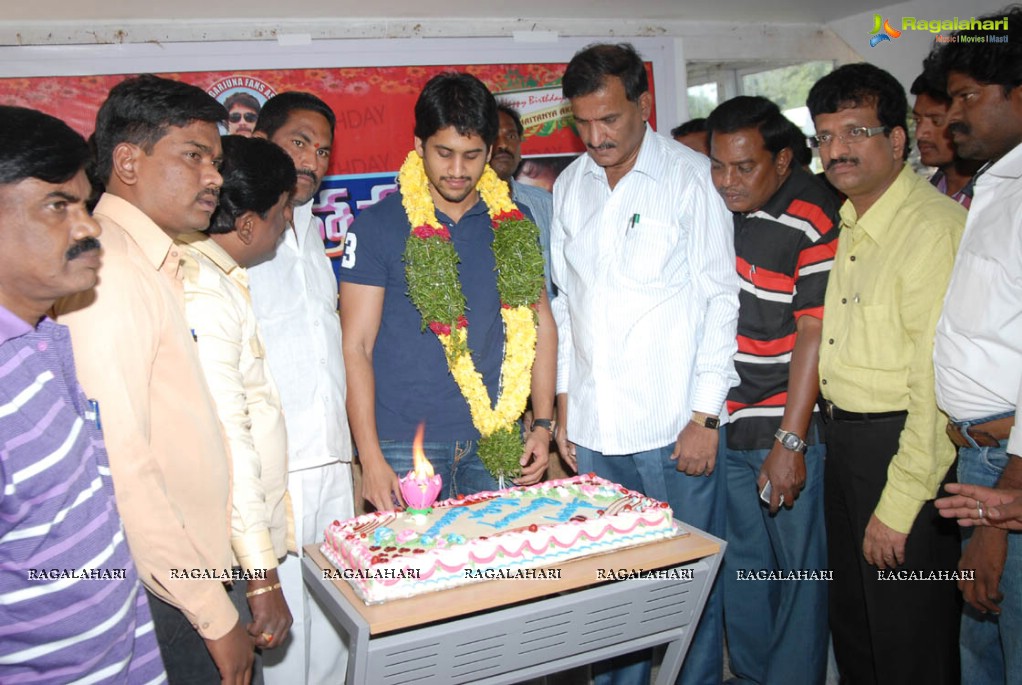 Naga Chaitanya Birthday Celebrations 2011