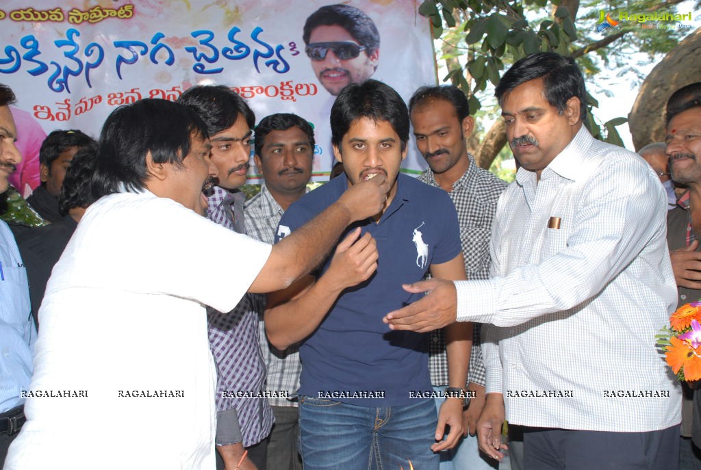 Naga Chaitanya Birthday Celebrations 2011